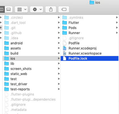 Podfile.png