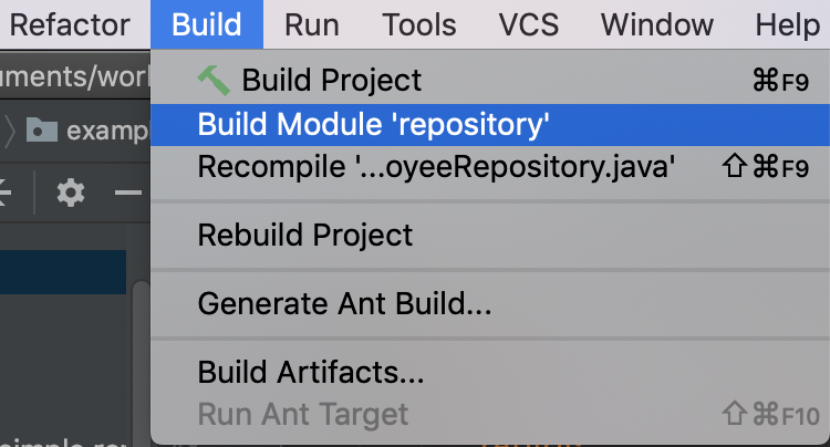 build_repository_module.png