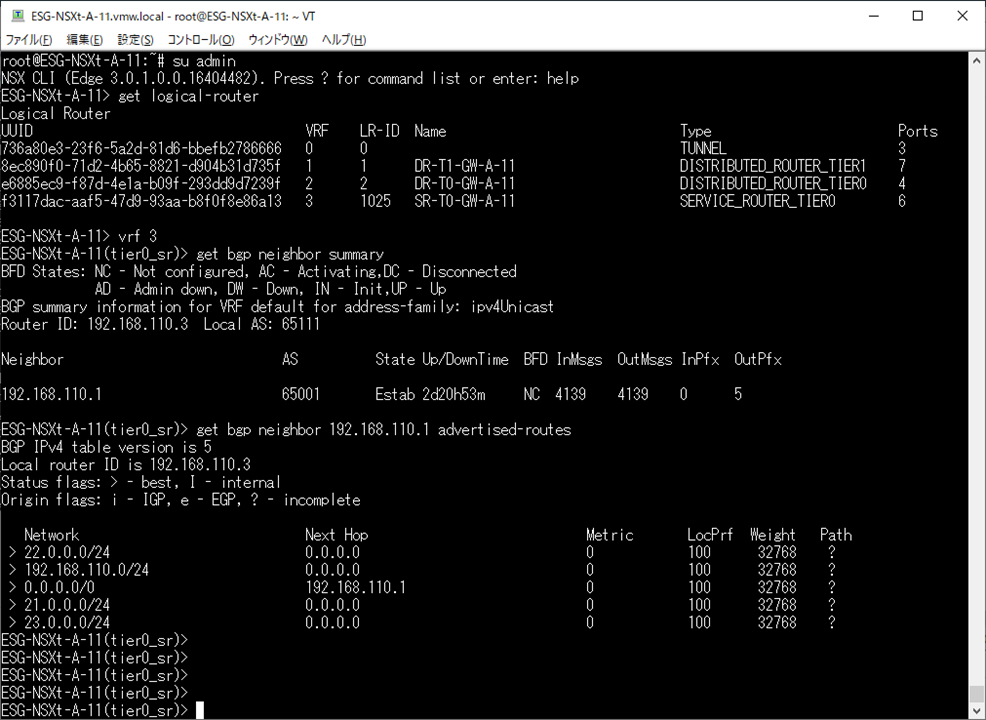 27 BGP-neighbor-advertise.png