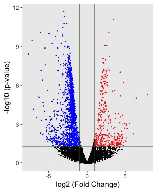Rplot.jpeg