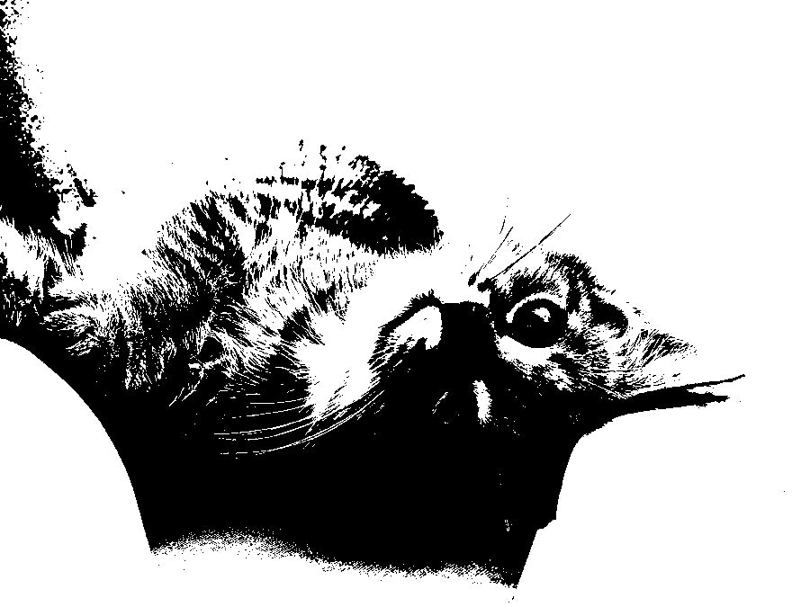 cat-thresh-128.jpg
