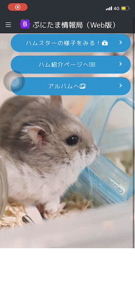 シーケンス 01.gif