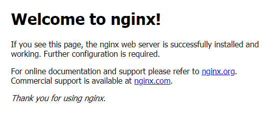 nginx インスタンスの表示確認の結果