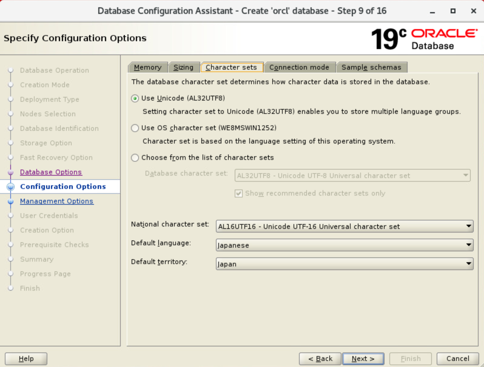 DBCA Oracle create database. Choose the System default language. Oracle DB to_Char. Oracle 19 c Trigger. Fast options