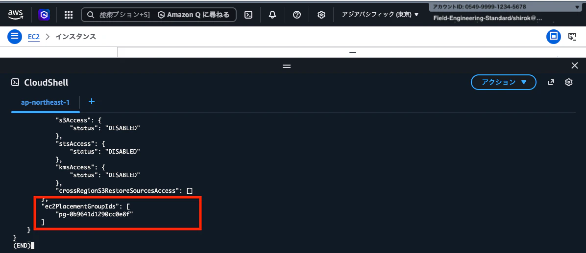 03_ODB_EC2PlacementGroupID-EC2作成02.png