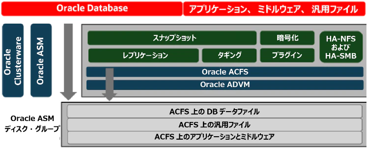 ACFS03.png