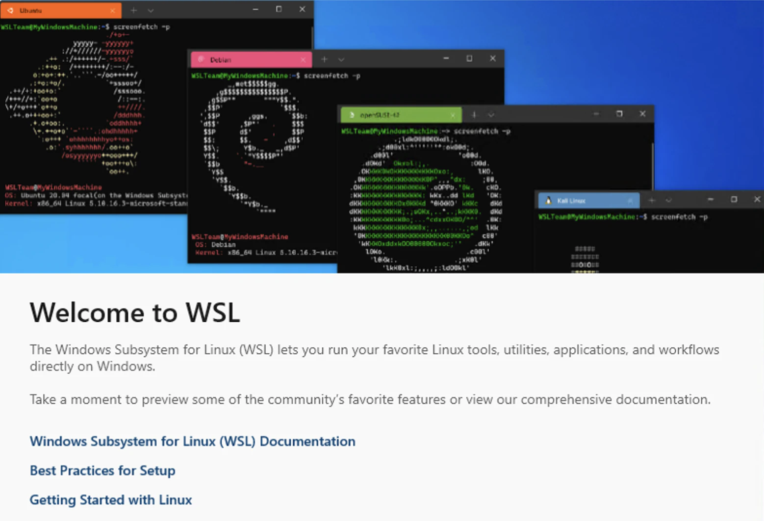 WSL画像3.png