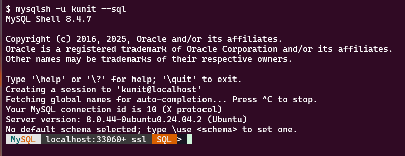 SQLモードで起動