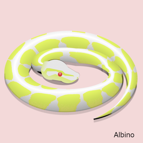 albino.png