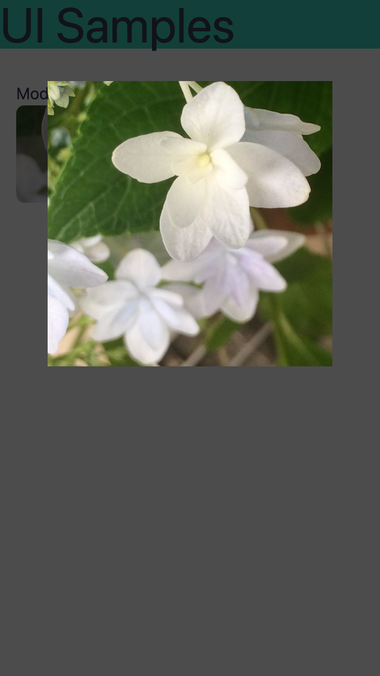 127.0.0.1_5500_src_index.html(iPhone SE) (1).png