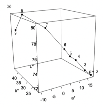 スクリーンショット 2022-02-13 5.39.59.png