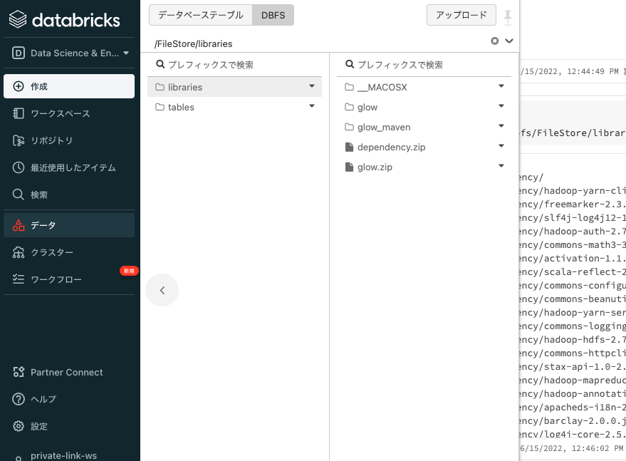 Screen Shot 2022-06-15 at 12.49.23.png