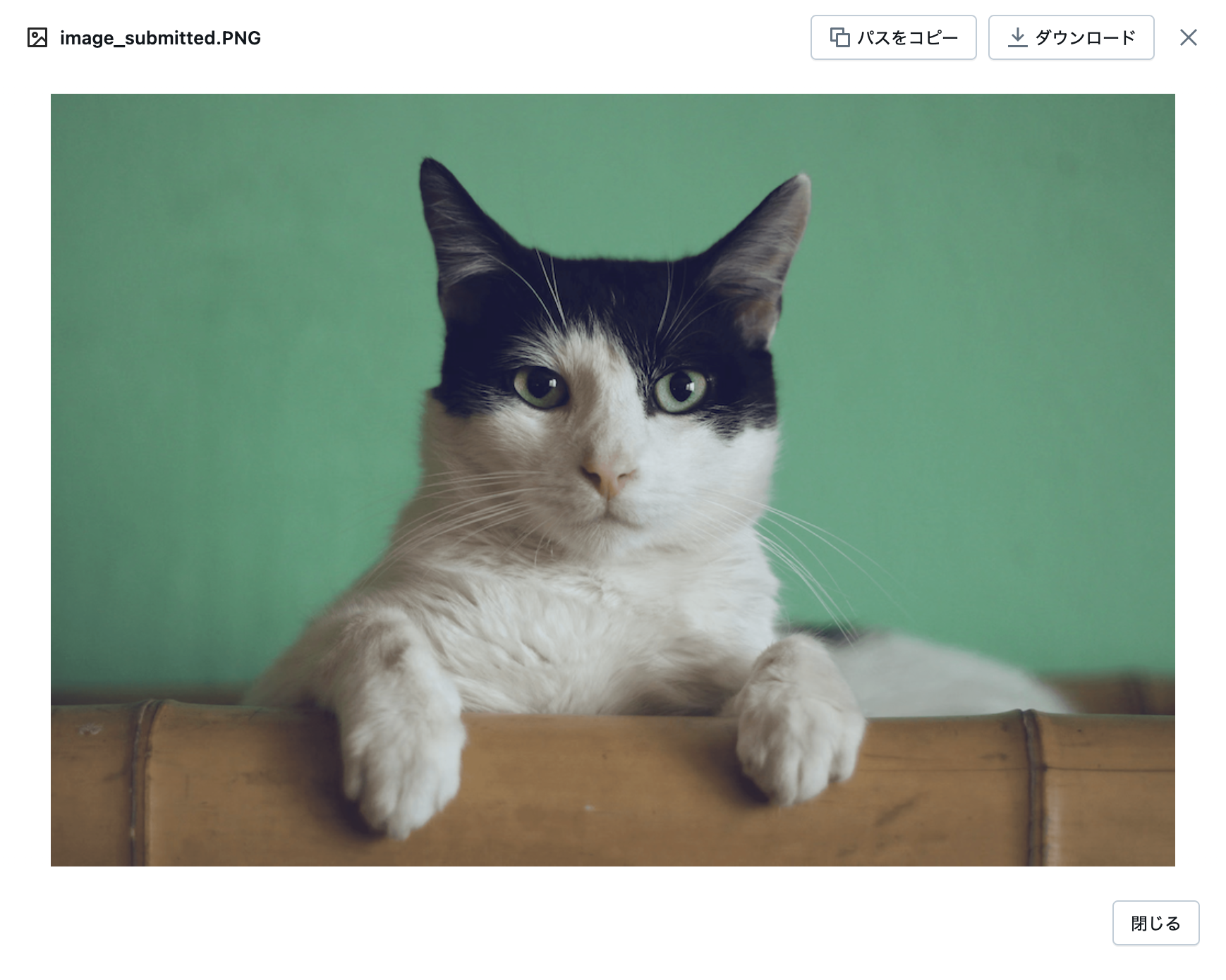 Screenshot 2025-04-03 at 13.44.18.png