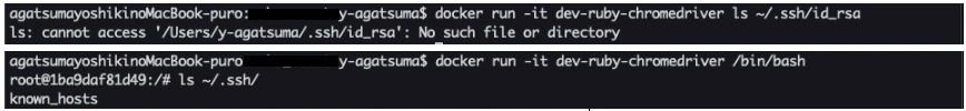 docker-run.png