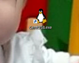 wsl_shortcut2.png