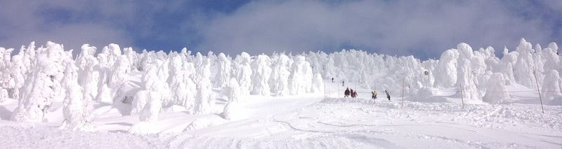 rime-ice-661309_1920ss.jpg