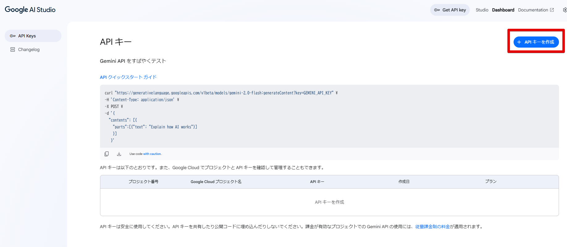 Google AI Studio2.png