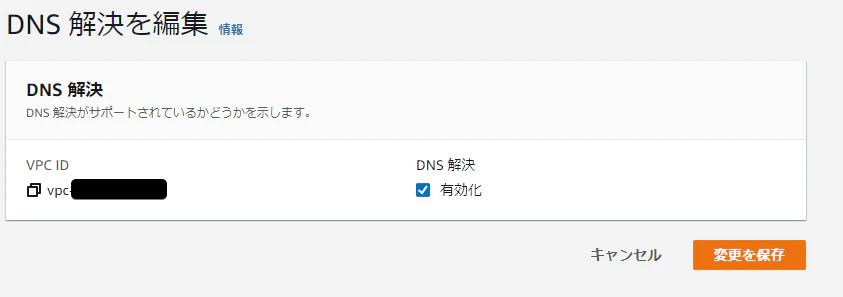 DNS解決VPC Management Console - Google Chrome 2021-01-04 .png