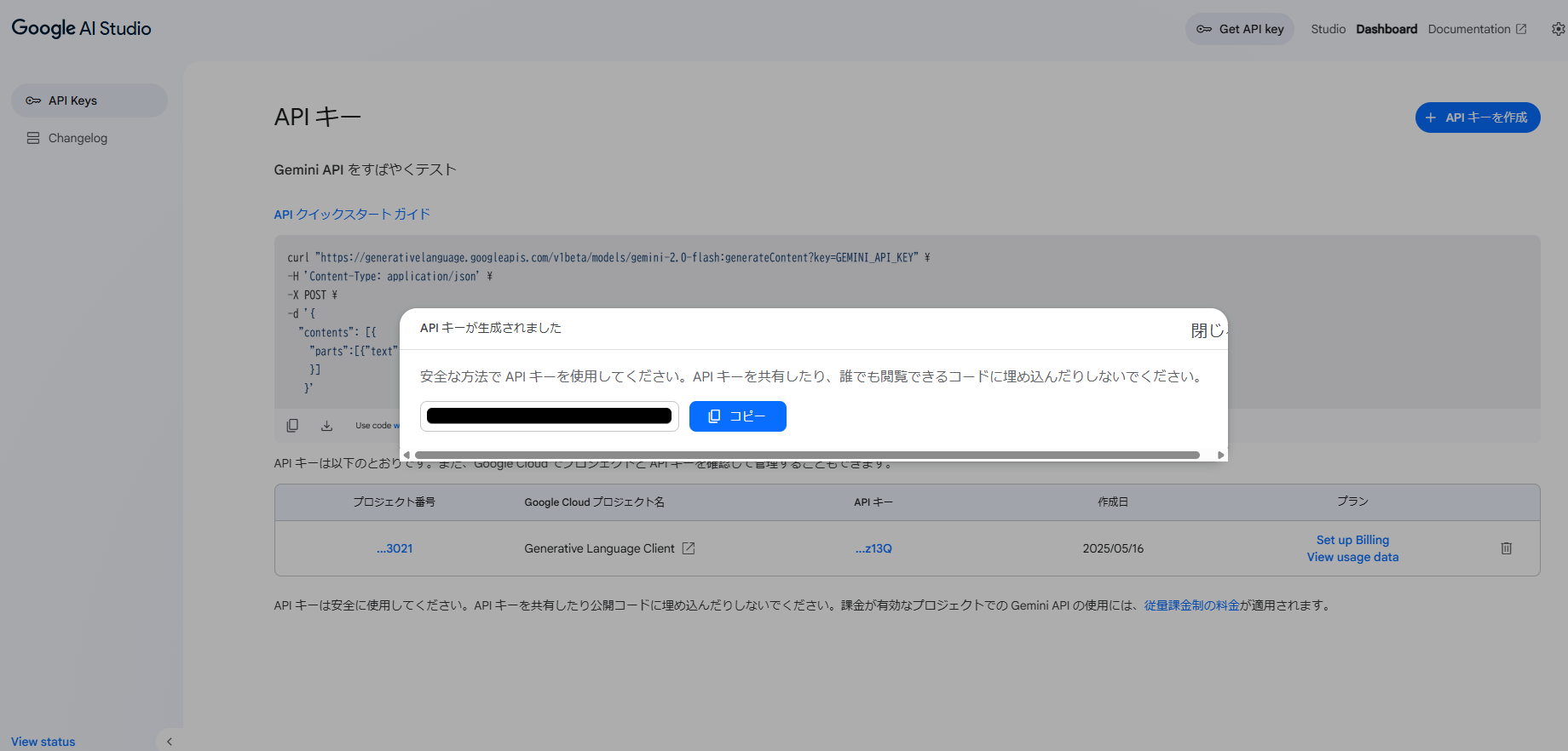 Google AI Studio5.png