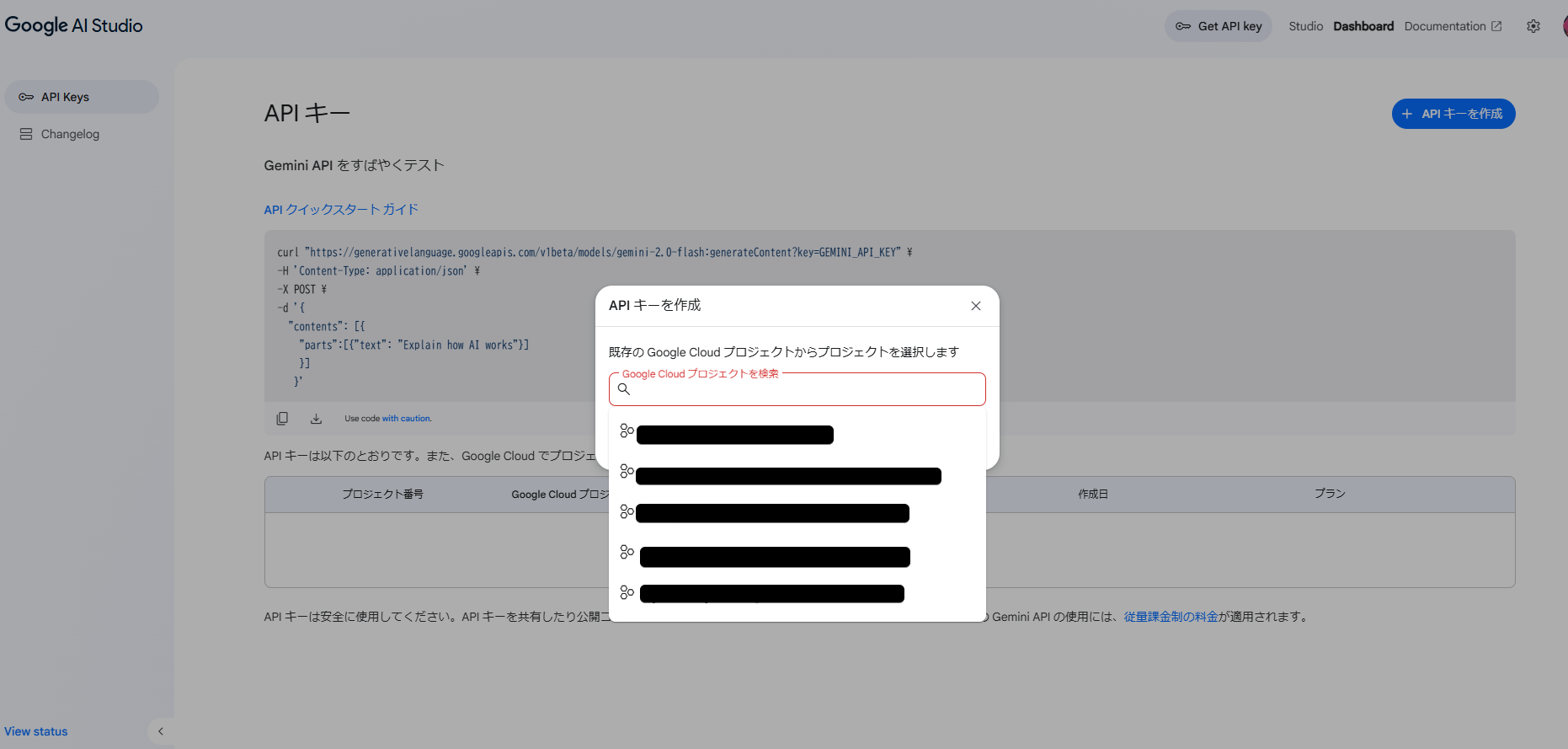 Google AI Studio3.png