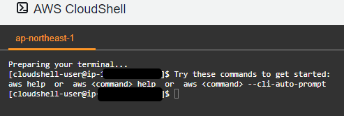 2AWS CloudShell - Google Chrome 2021-06-19 14.51.18.png