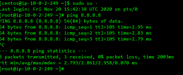 ssh52.193.254.177 - Poderosa 2020-11-21 00.48.27.png