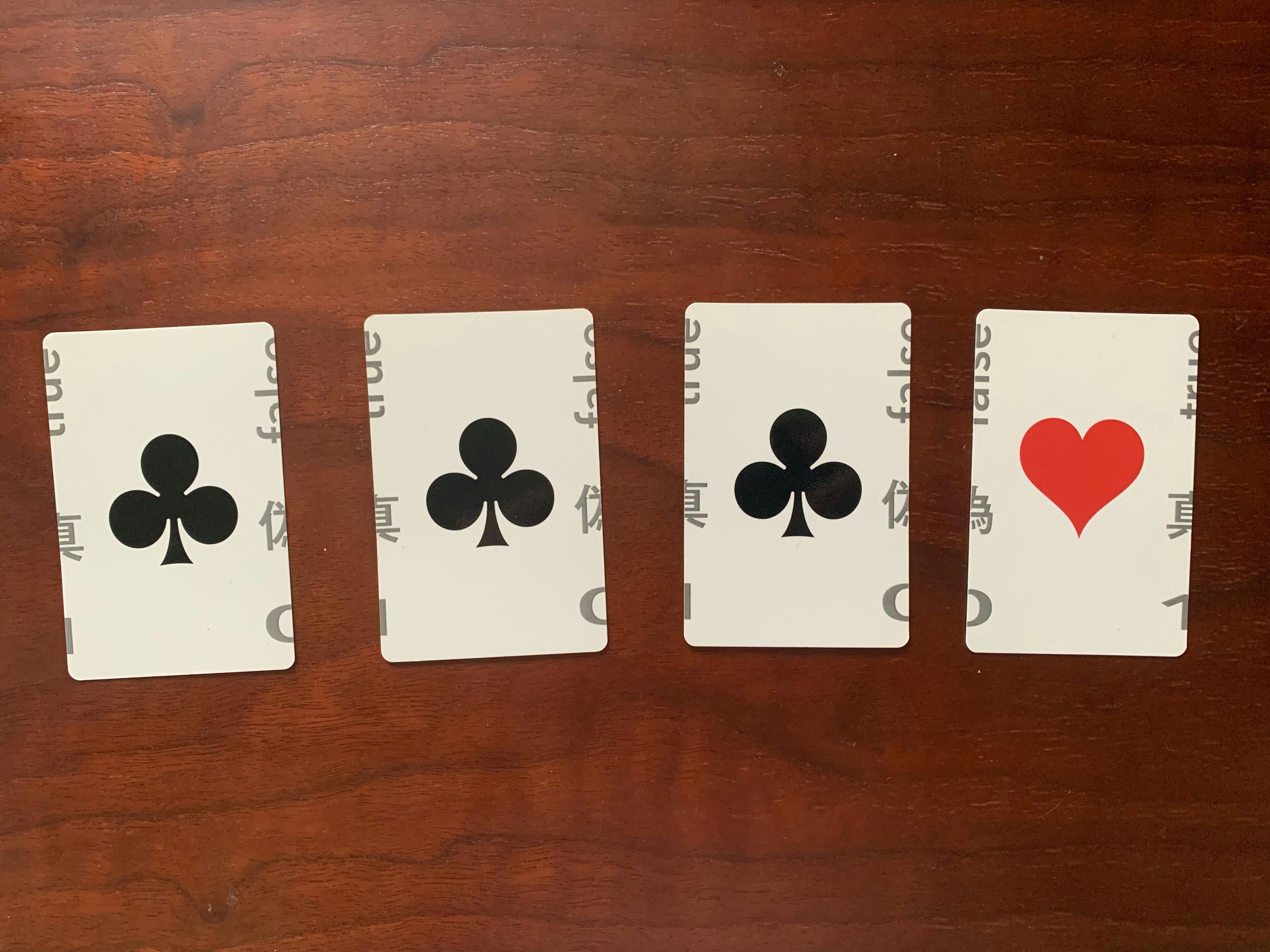 IMG_3809 のコピー.JPG