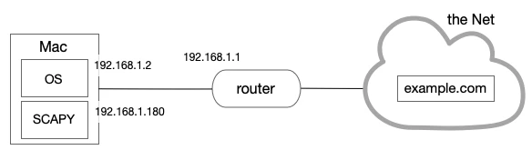 structure2.png