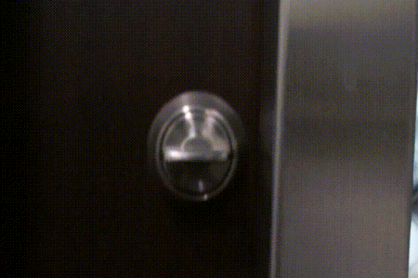 cow-lock.mp4.gif