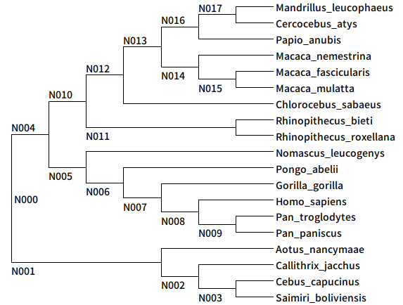 simiiformes_nodeid_nwk.png