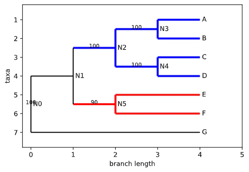 mrca_tree.png