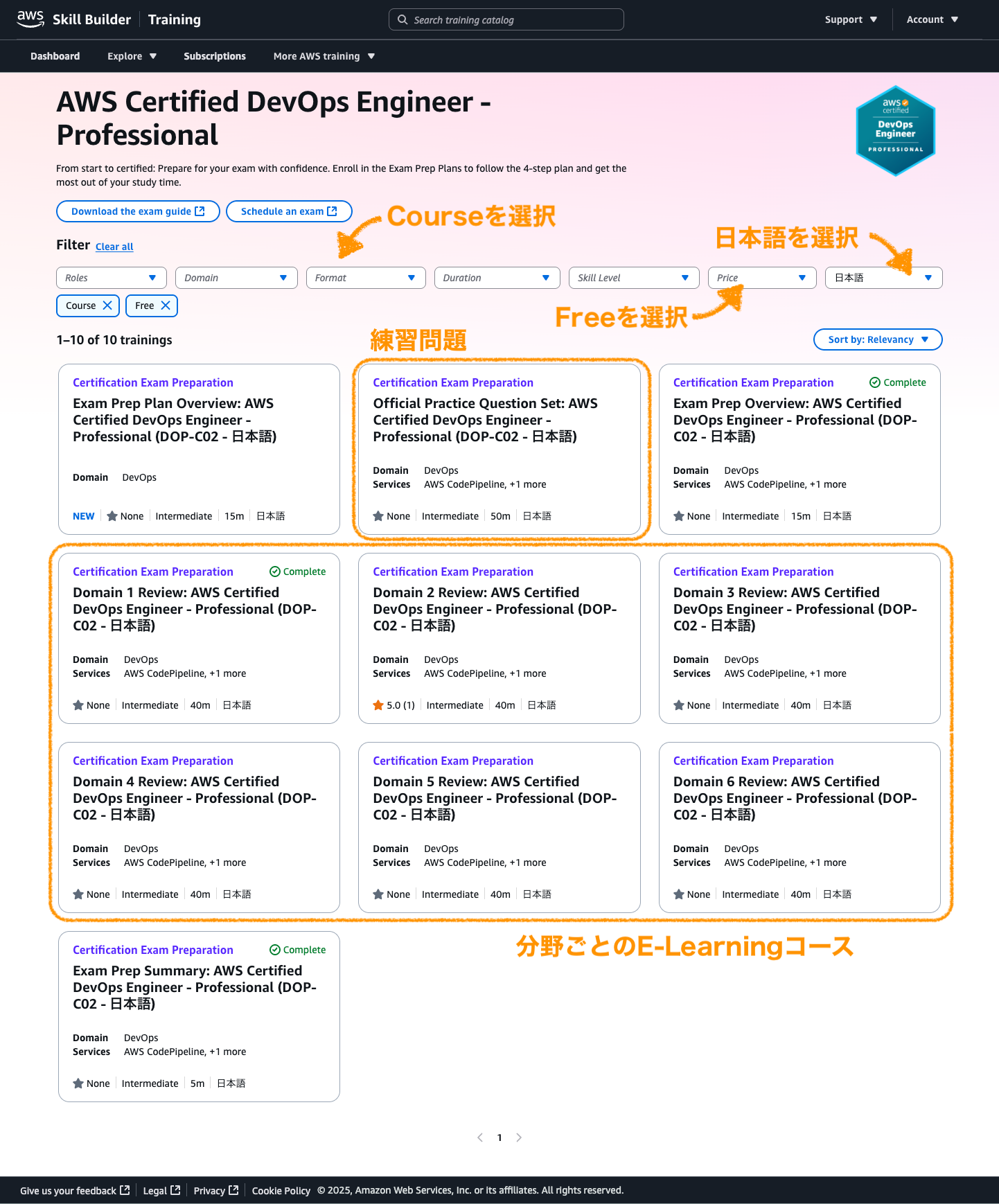 Skill Builder DOP-C01 Search