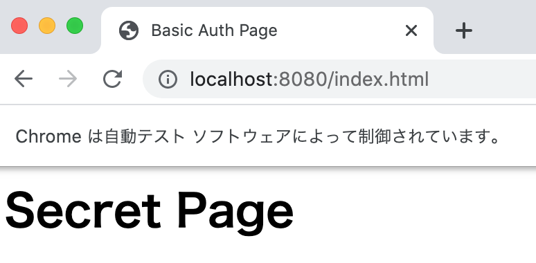 basic_auth_result1.png