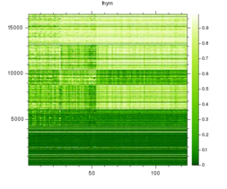 thym_2_heatmap2.png