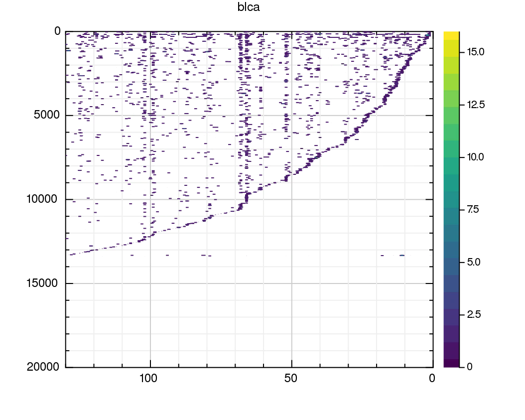 blca_1.png
