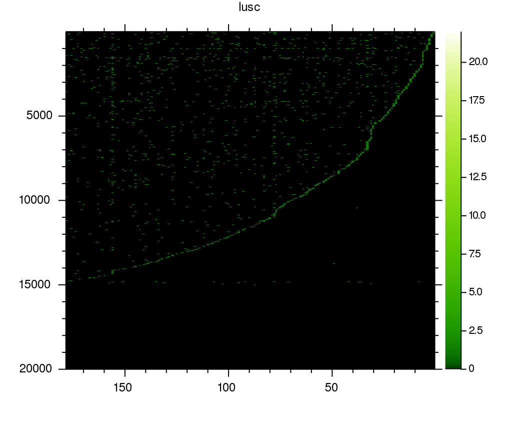 lusc_0.png