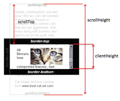scrollHeight.png