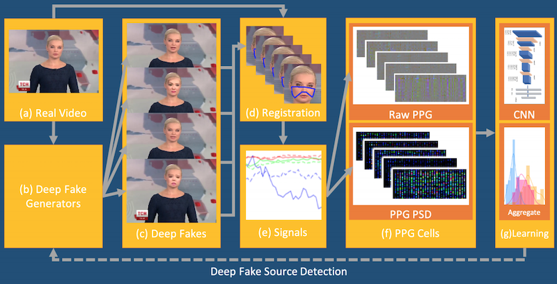 Detection