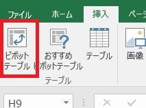ピボットテーブル WS000319.JPG