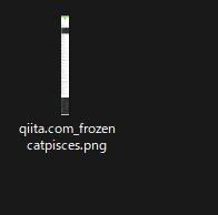 Chrome撮影結果 WS000592.JPG