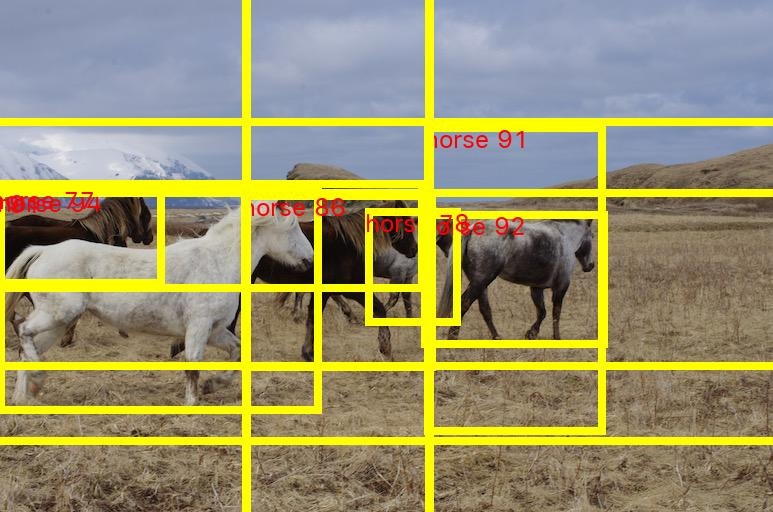 horses_detected.jpg
