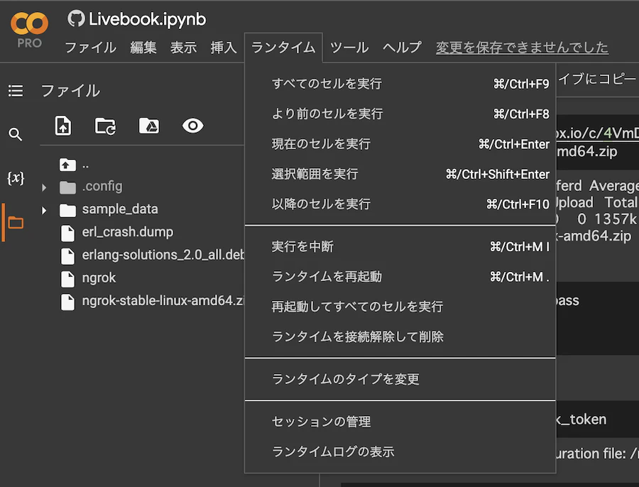 ランタイムタイプの変更.png