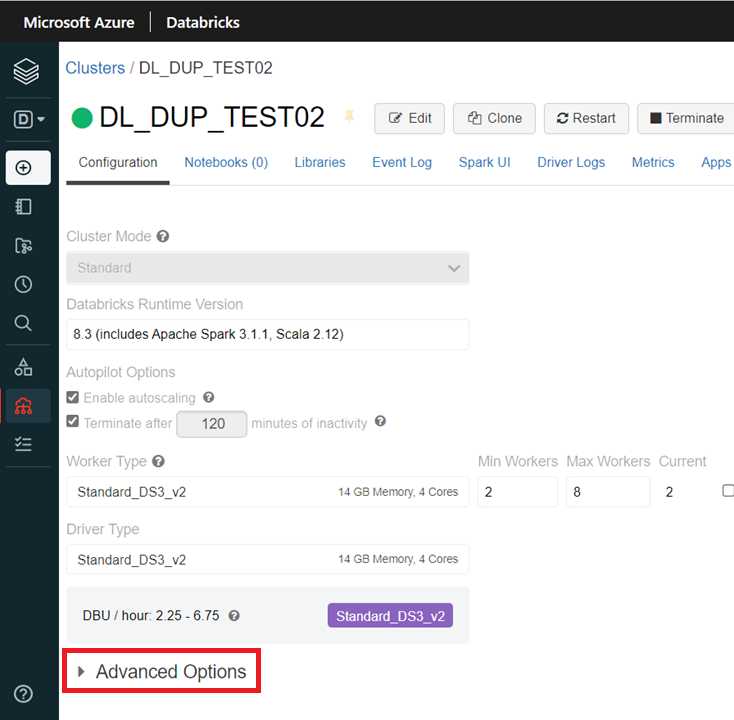Databricks_AdvancedOptions.png