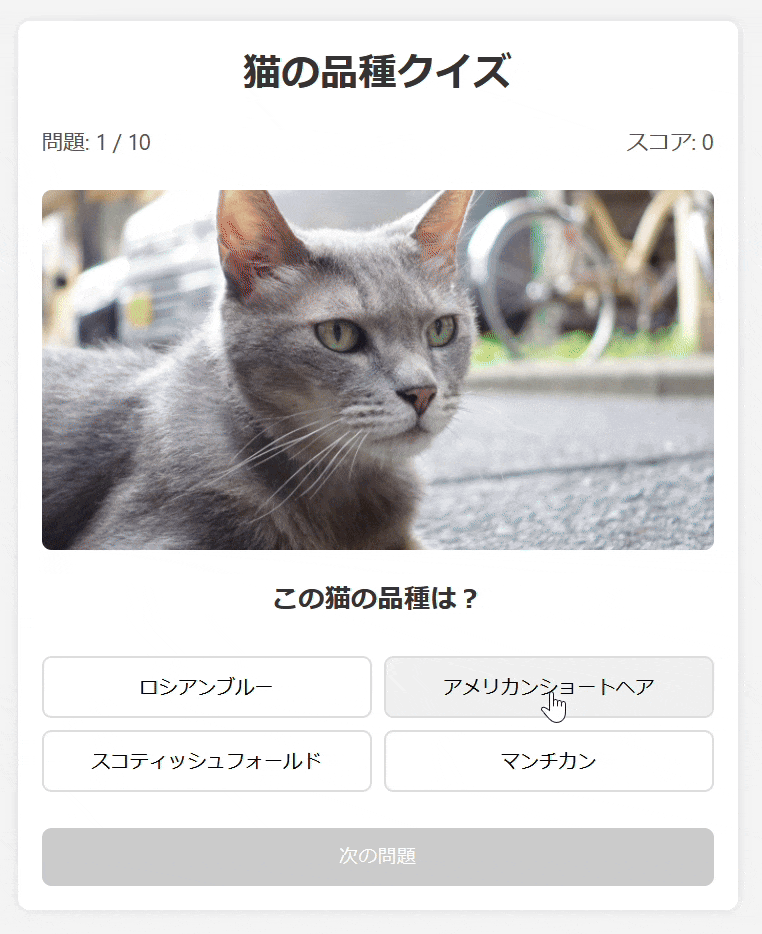 cat-breed-quiz-start.gif