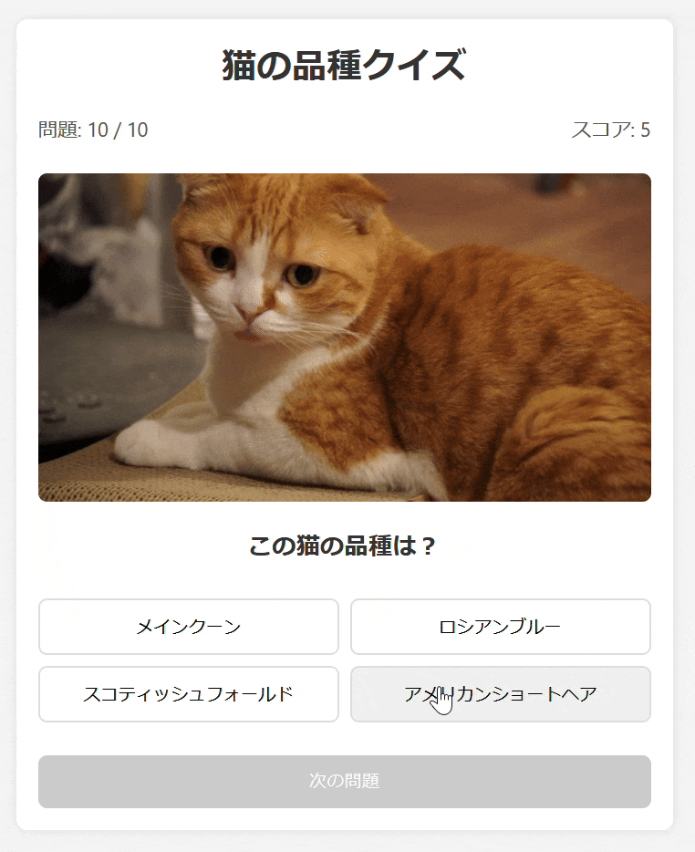 cat-breed-quiz-end.gif