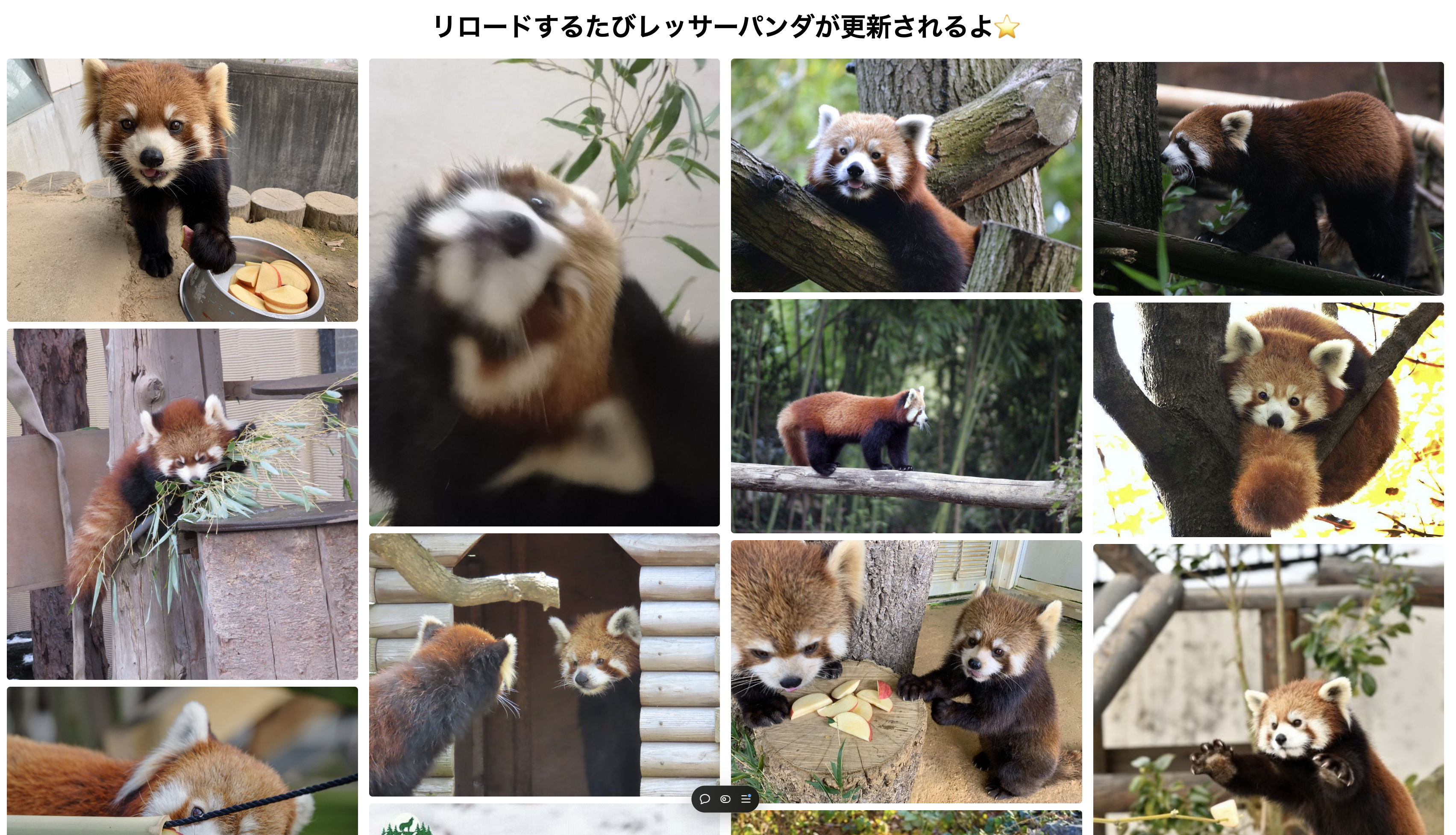 スクリーンショット 2024-12-07 12.27.58.png