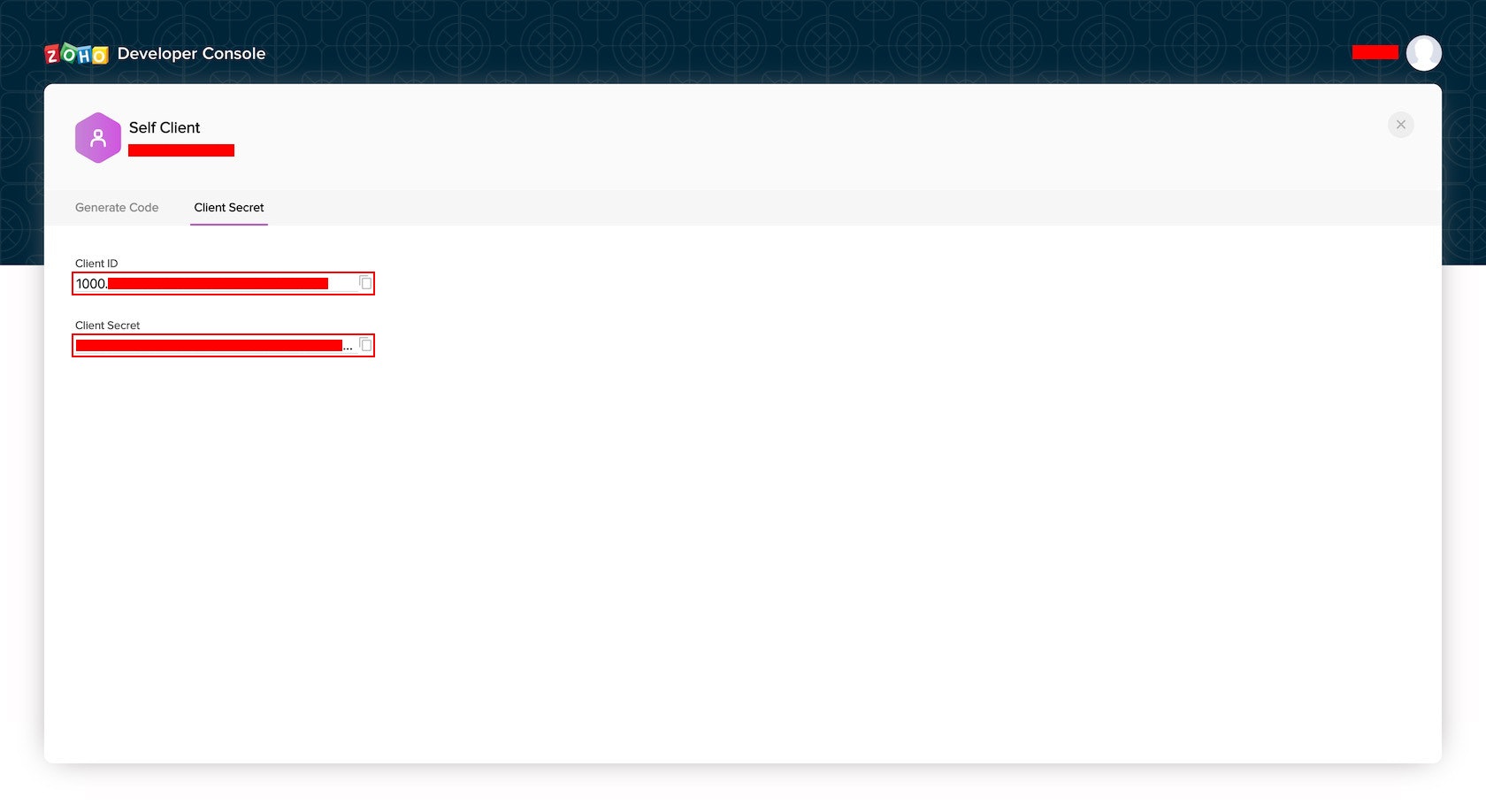 FireShot Capture 231 - - api-console.zoho.com.jpeg