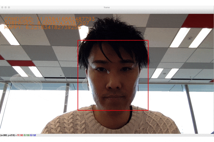 detect_faces.gif