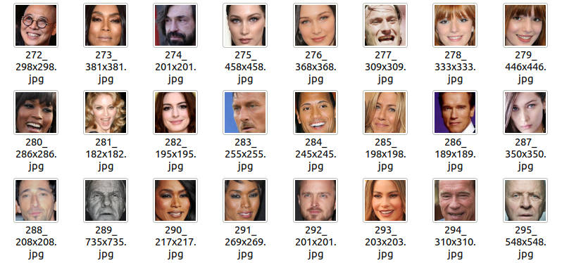 図2:サンプル顔画像(一部) 図2:サンプル顔画像(一部)