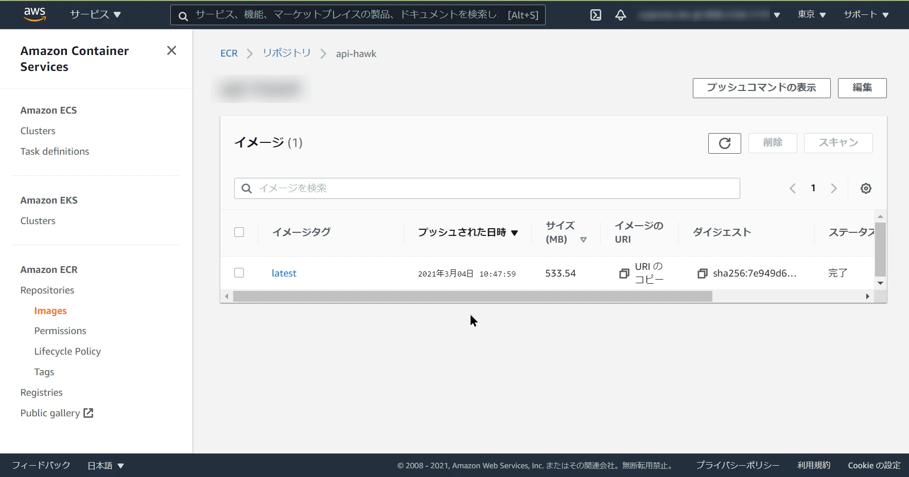ECR-Repo-Uploaded.png